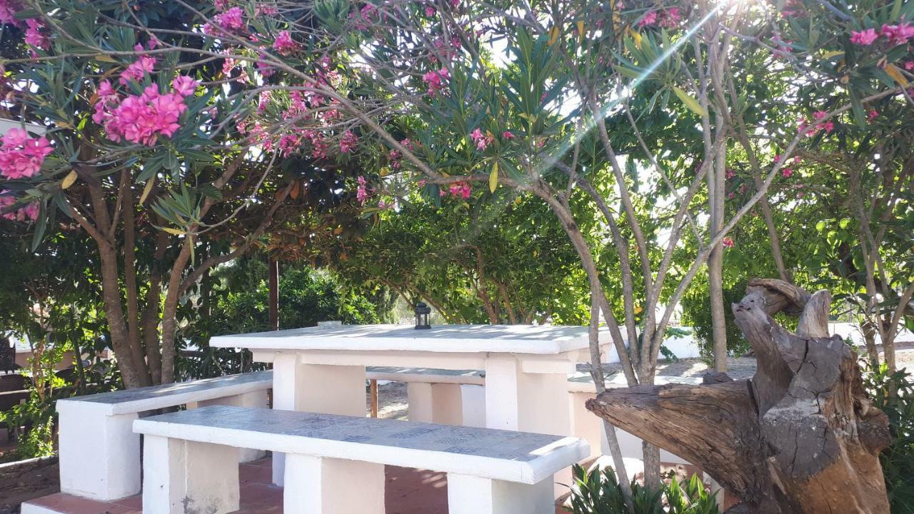 Palacete Dos Alcaides Minas de São Domingos Eksteriør billede